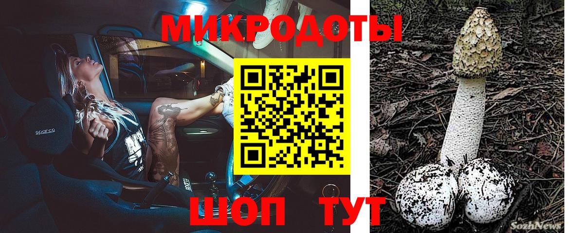 Псилоцибиновые грибы GOLDEN TEACHER Луга