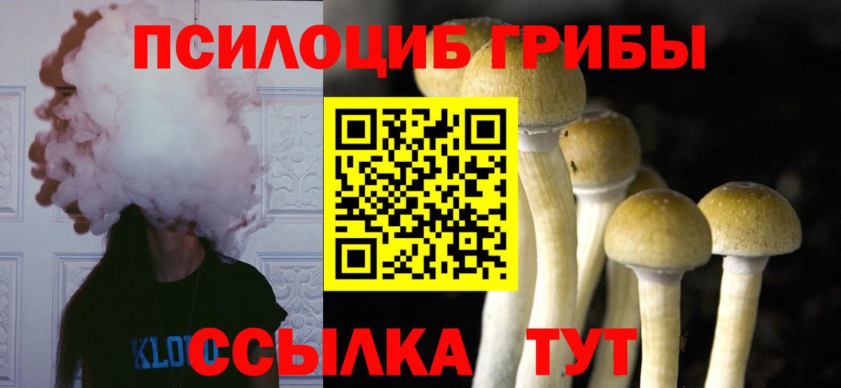 Луга  Псилоцибиновые грибы ЛСД  Вход с VPN 